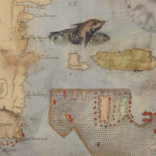 Virginia, 1585, La Virginea Pars (II), Florida, John White Map