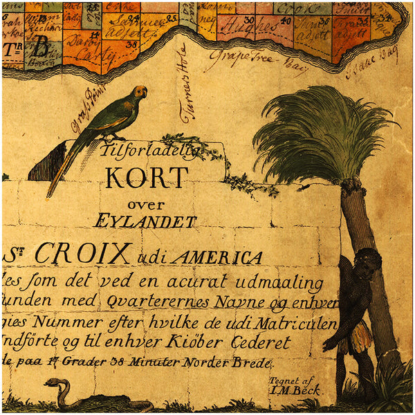 Caribbean, 1754, St. Croix, Virgin Islands, USVI, Old Danish Map