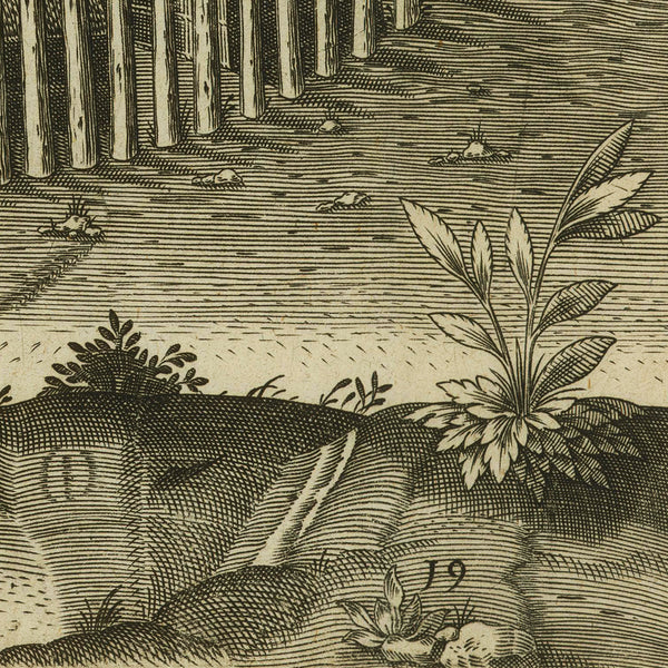 Virginia, 1590, Pomeiooc Village, John White, Thomas Hariot, De Bry, Engraving, Fine Art Print (II)