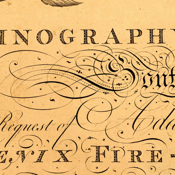 South Carolina, 1788, Charleston, Ichnography, Edmund Petrie Plan