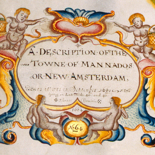 New York, 1664 (1661), Mannados, New Amsterdam, The Duke’s Plan