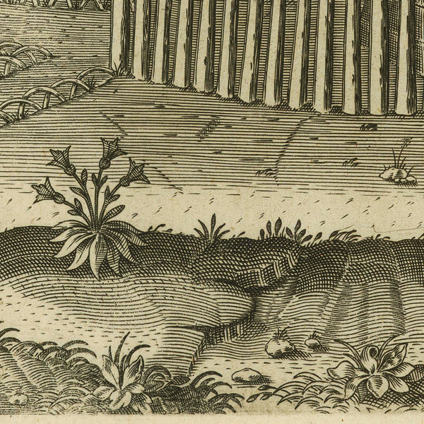 Virginia, 1590, Pomeiooc Village, John White, Thomas Hariot, De Bry, Engraving, Fine Art Print (II)